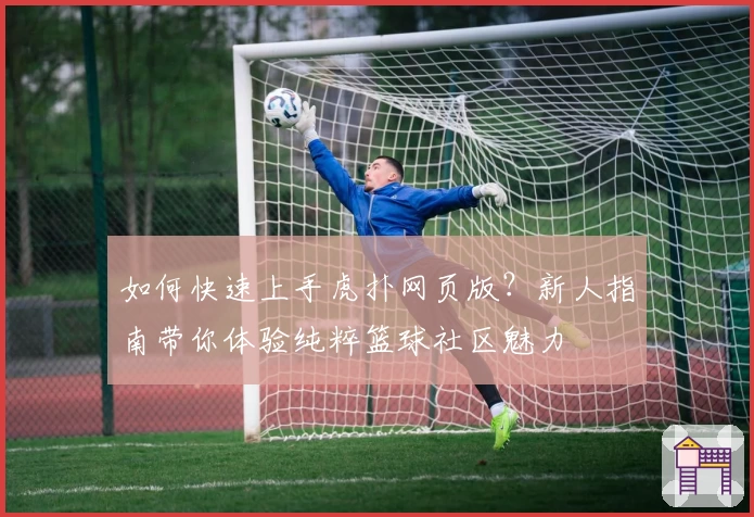 如何快速上手虎扑网页版？新人指南带你体验纯粹篮球社区魅力