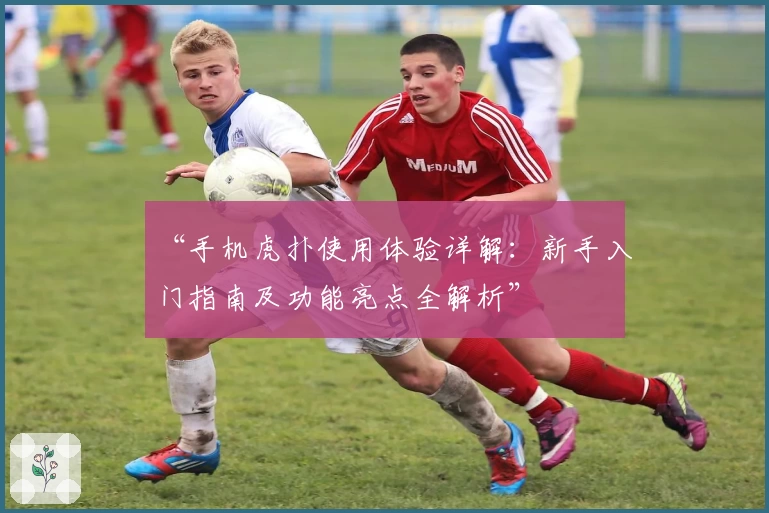 “手机虎扑使用体验详解：新手入门指南及功能亮点全解析”